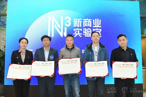 洛可可咨詢業(yè)務全新升級 信息技術(shù)咨詢服務邁向獨立運營新階段